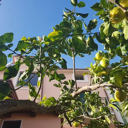 Affittacamere La Casa Di Paolo 2*