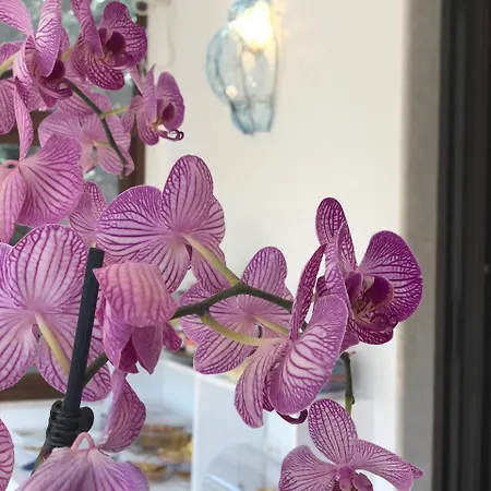 La Casa Di Paolo 2* Marina di Camerota